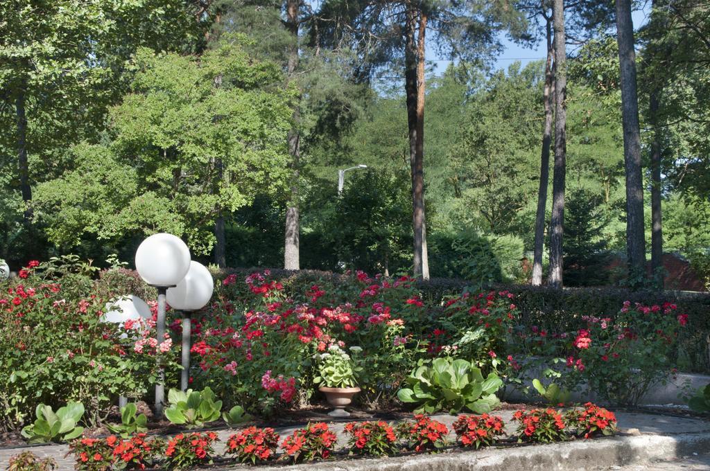 Bed&Garden Bed and Breakfast Cesate Eksteriør billede
